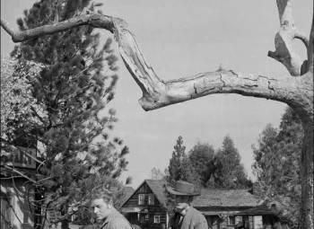 Screenshot 2 from Woman They Almost Lynched (Full Movie)
