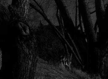 Screenshot 2 from Woman Who Came Back (Full Movie)