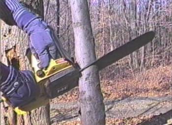 Screenshot 2 from Woodchipper Massacre (Full Movie)