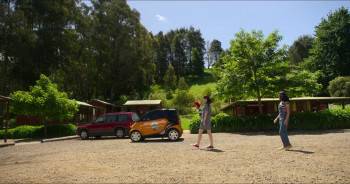 Screenshot 2 from Woody Woodpecker Goes to Camp (Full Movie)