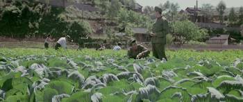 Screenshot 1 from Wreaths at the Foot of the Mountain (Full Movie)