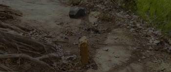 Screenshot 2 from Yaanai Mugathaan (Full Movie)