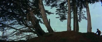 Screenshot 1 from Yellow-Faced Tiger (Full Movie)