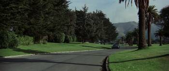 Screenshot 2 from Yellow-Faced Tiger (Full Movie)