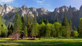 Screenshot 2 from Yogi Bear (Full Movie)