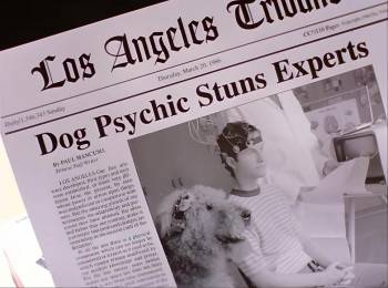 Screenshot 2 from You Lucky Dog (Full Movie)
