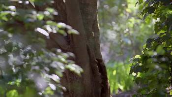 Screenshot 3 from You Wish! (Full Movie)