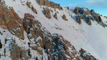 Screenshot 1 from Yukon's Wild Grizzlies (Full Movie)