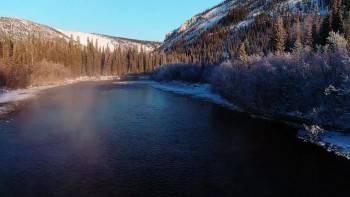 Screenshot 3 from Yukon's Wild Grizzlies (Full Movie)
