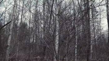 Screenshot 3 from Yule Log (Full Movie)
